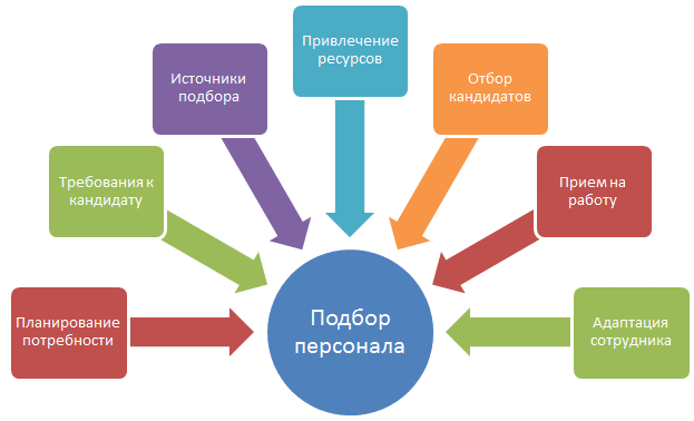 Цикл подбора персонала - общий состав задач, стоящий перед директором по персоналу при подборе кадров Цикл подбора персонала - общий состав задач, стоящий перед директором по персоналу при подборе кадров